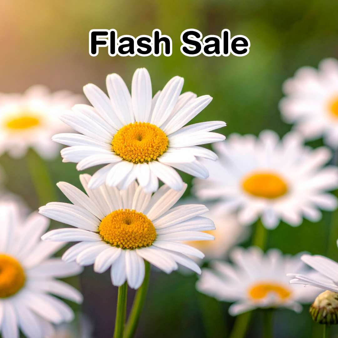 Flash Sale