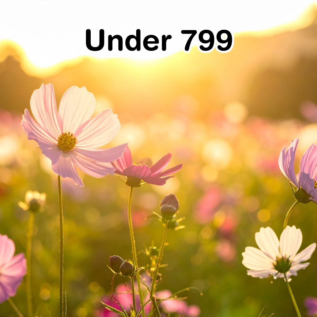 Under 799