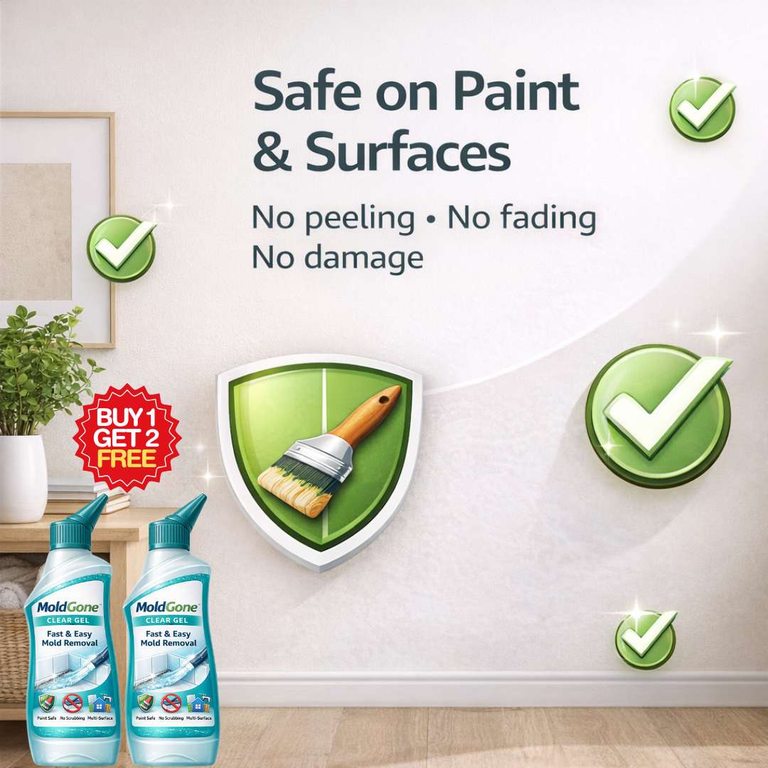 Mold Clear Gel | Buy 1 Get 1 Free