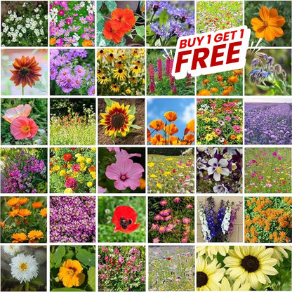Multi Flower Seeds (Buy 1 Get 1 Free)