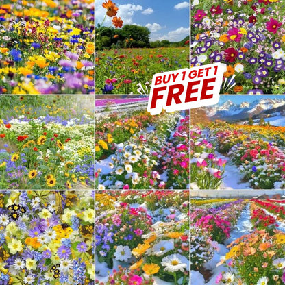 Multi Flower Seeds (Buy 1 Get 1 Free)