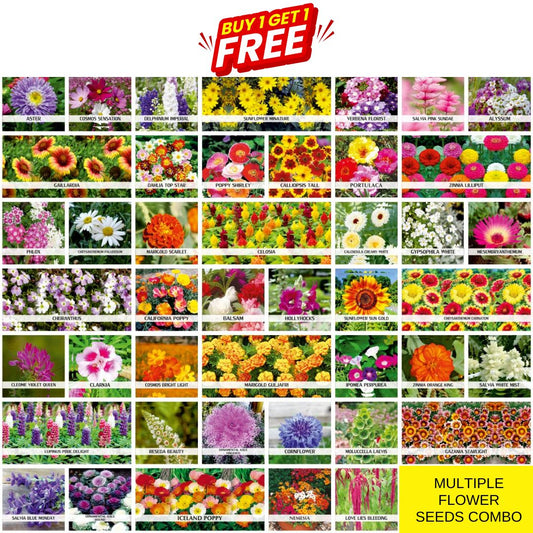 Multi Flower Seeds (BUY 1 GET 1 FREE)