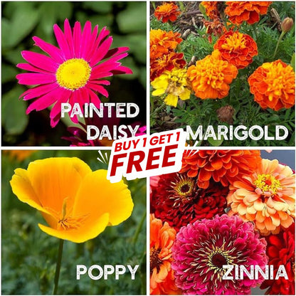 Multi Flower Seeds (Buy 1 Get 1 Free)