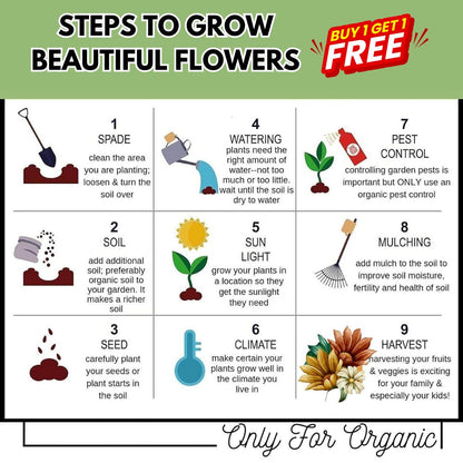 Multi Flower Seeds (BUY 1 GET 1 FREE)