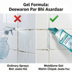 Mold Clear Gel | Buy 1 Get 1 Free