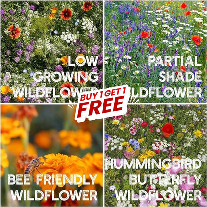 Multi Flower Seeds (Buy 1 Get 1 Free)