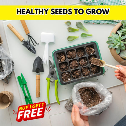 Multi Flower Seeds (BUY 1 GET 1 FREE)