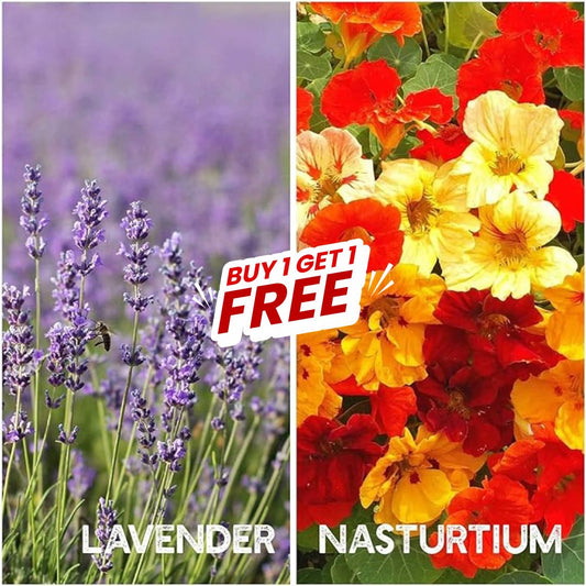 Multi Flower Seeds (Buy 1 Get 1 Free)